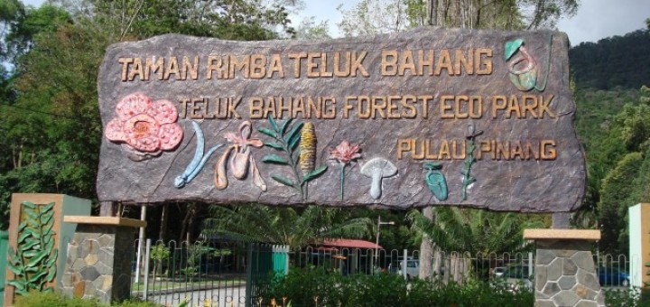 Taman Rimba Teluk Bahang Entrance